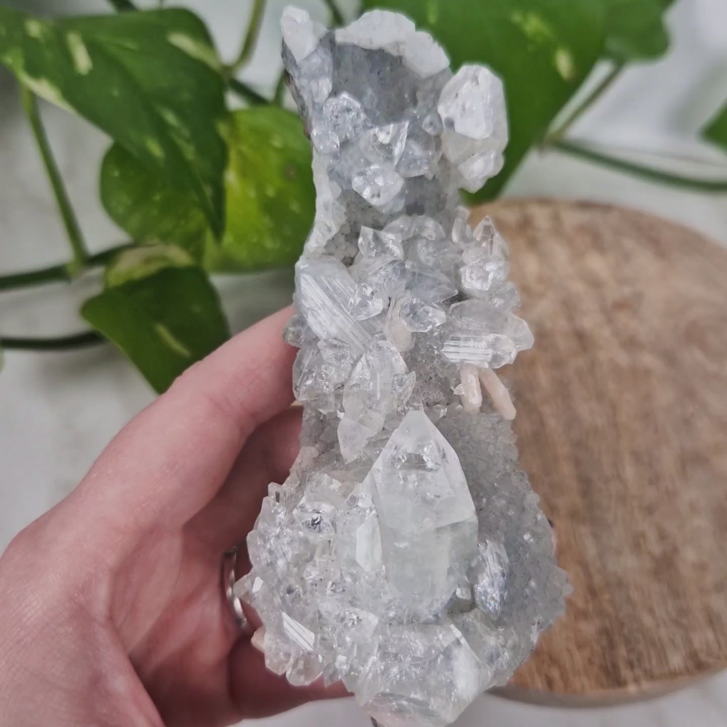 Apohyllite with Stilbite