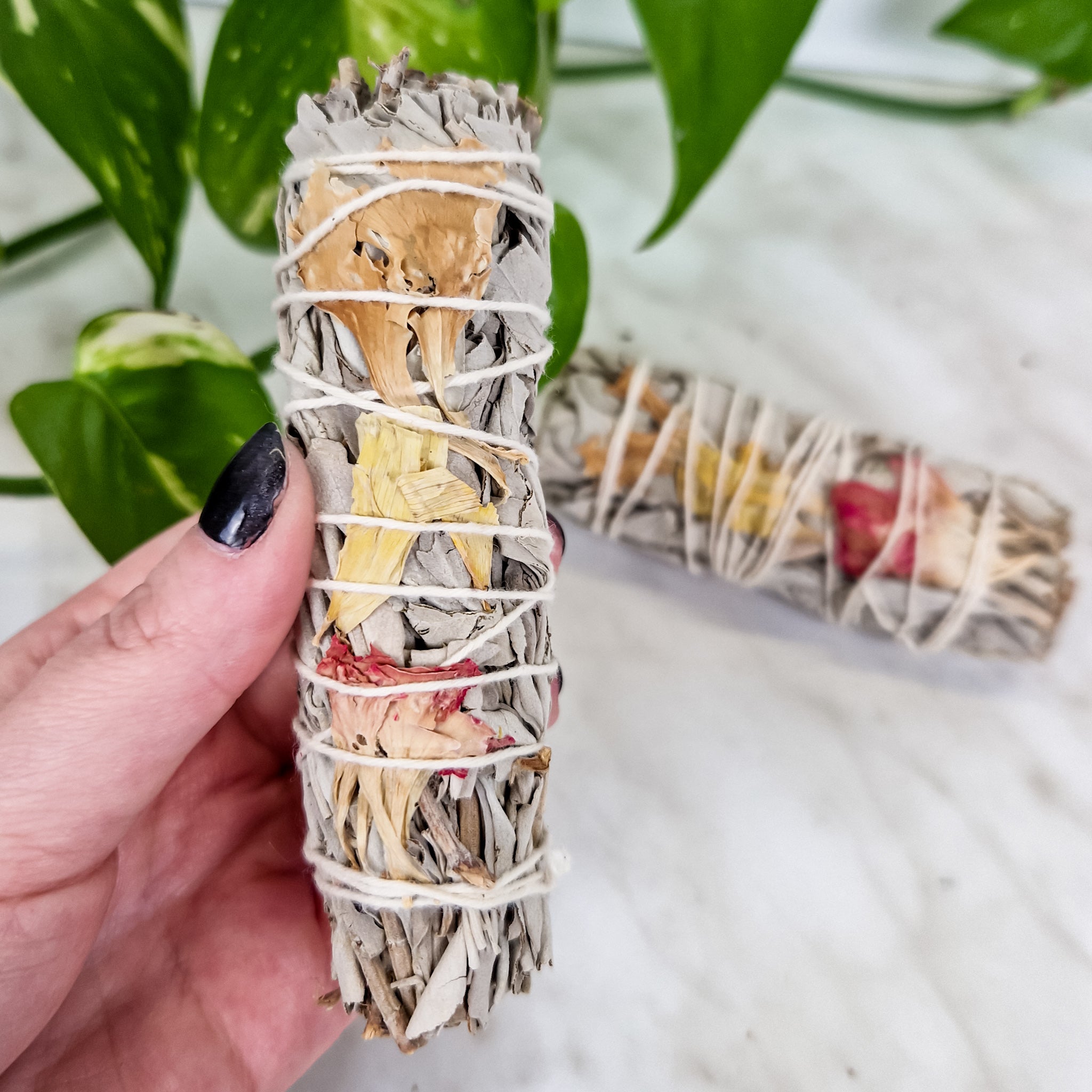 Sage bundle Clean Energy