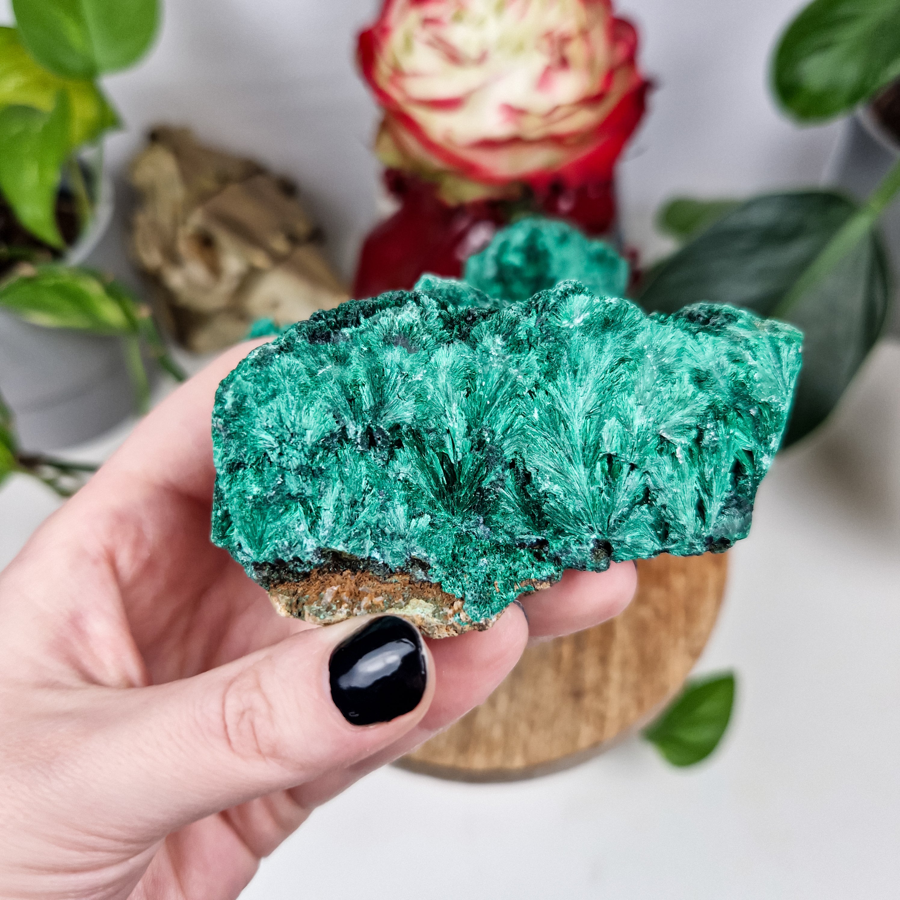 Samt Malachit Rohstück