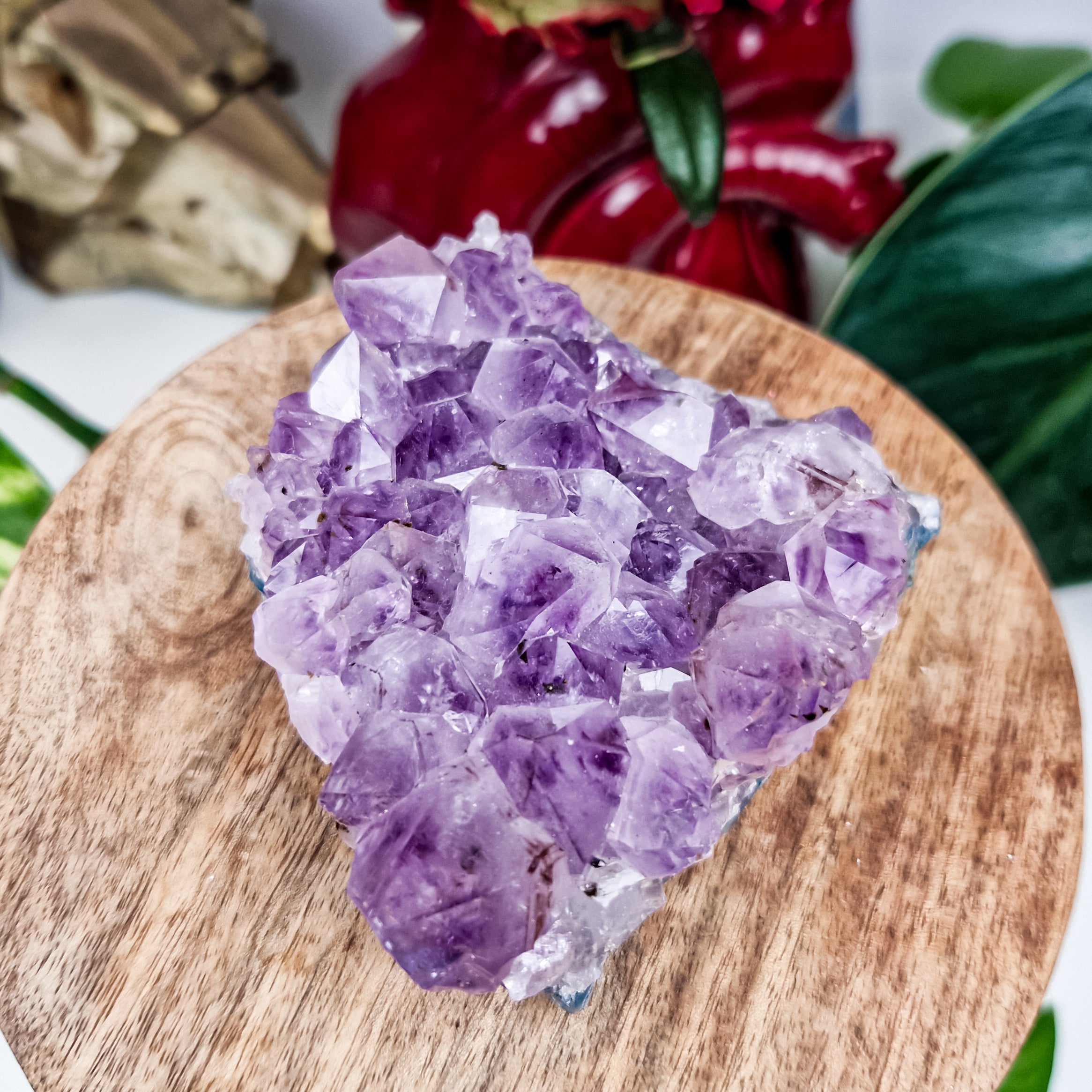 Amethyst mit Rutil und Holandit