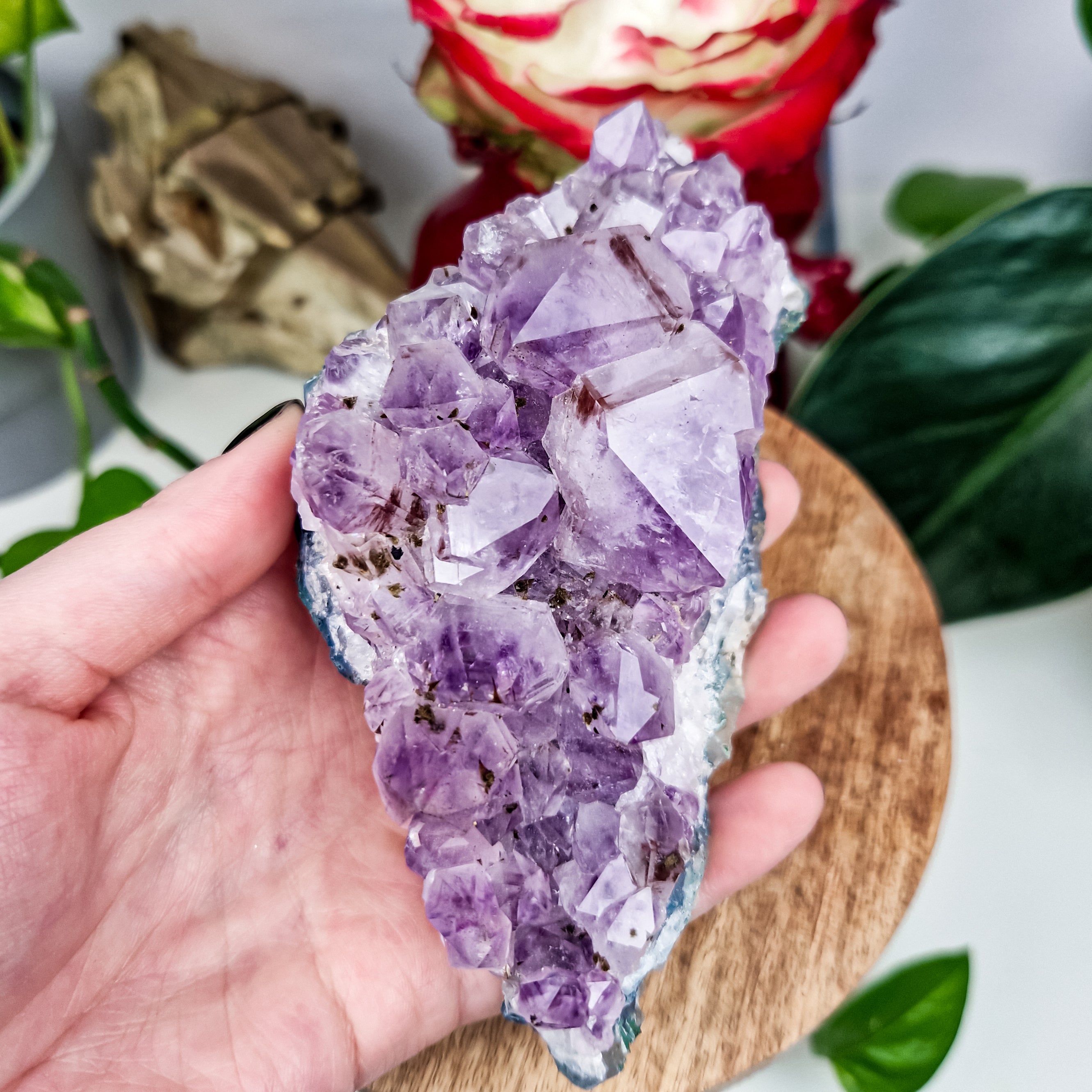 Amethyst mit Rutil und Holandit
