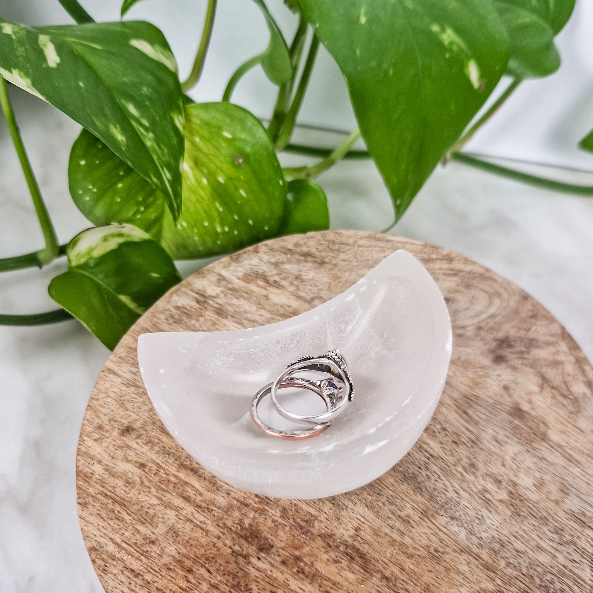 Selenite Moon Shell S