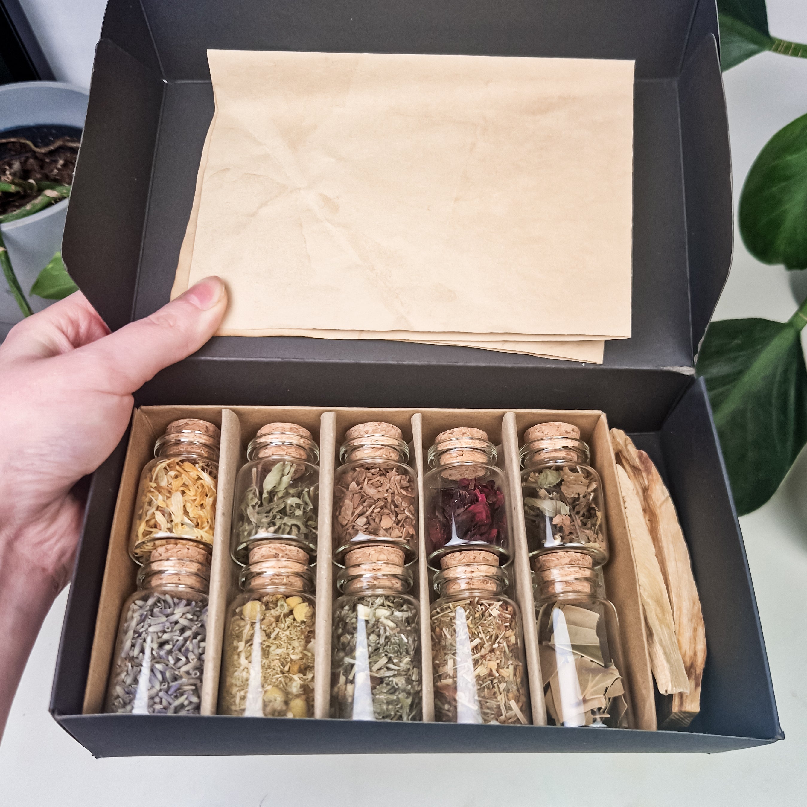 The Alchemist's Herb Box - Kräuter Box