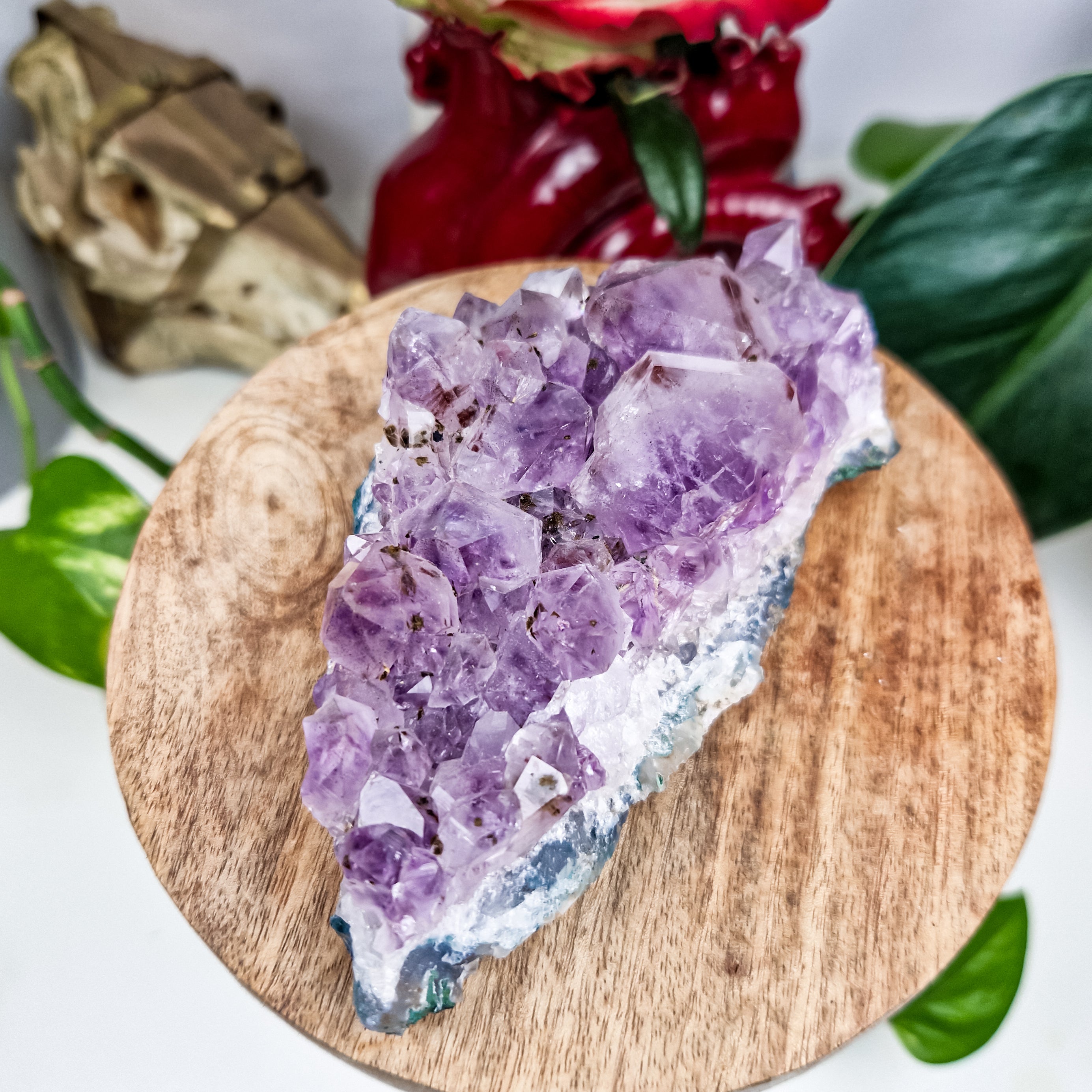 Amethyst mit Rutil und Holandit