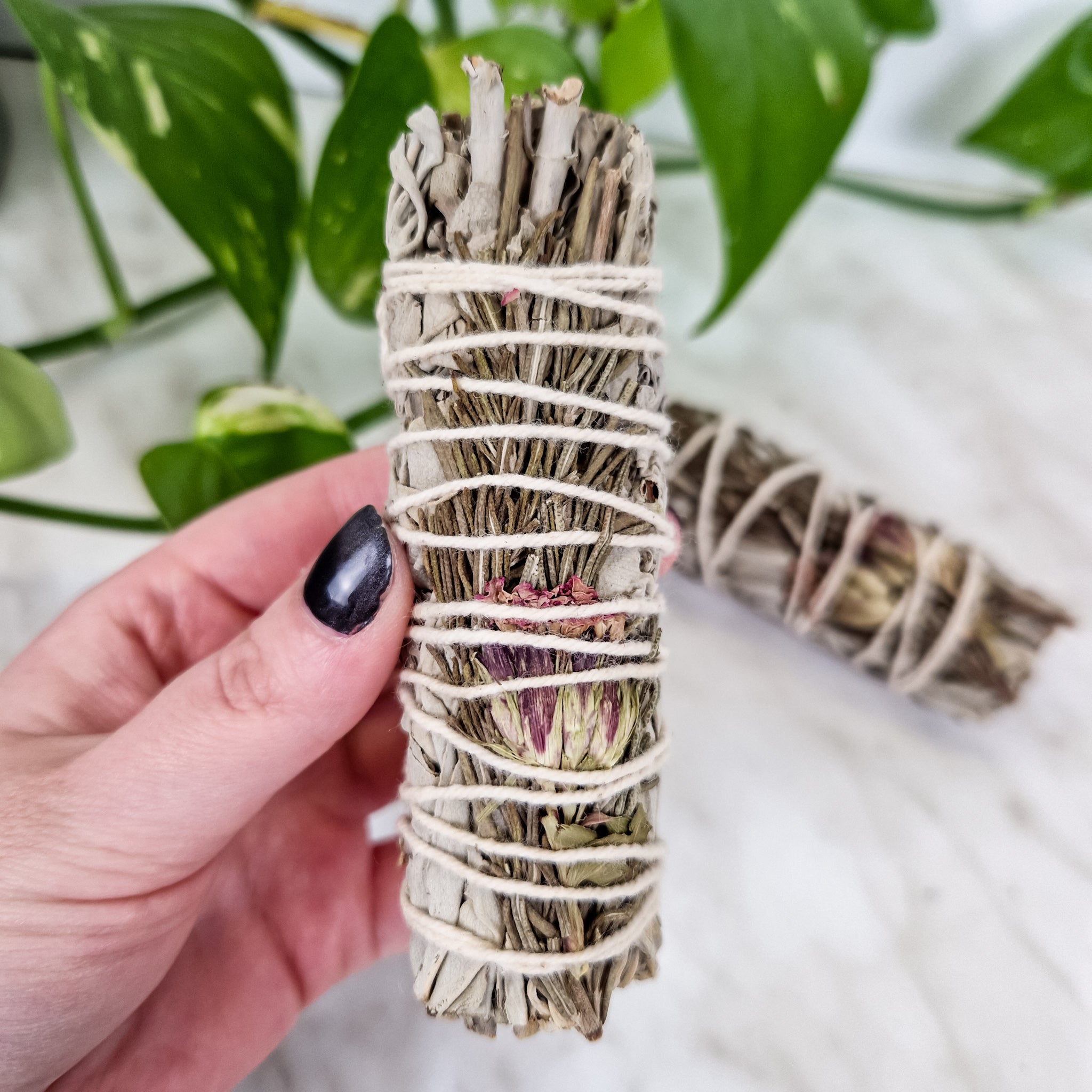 Sage bundle Fresh Energy