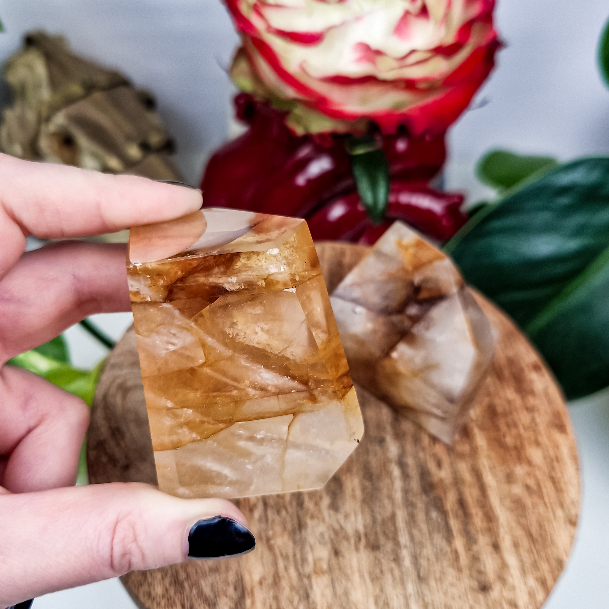 Golden Healer Freiform