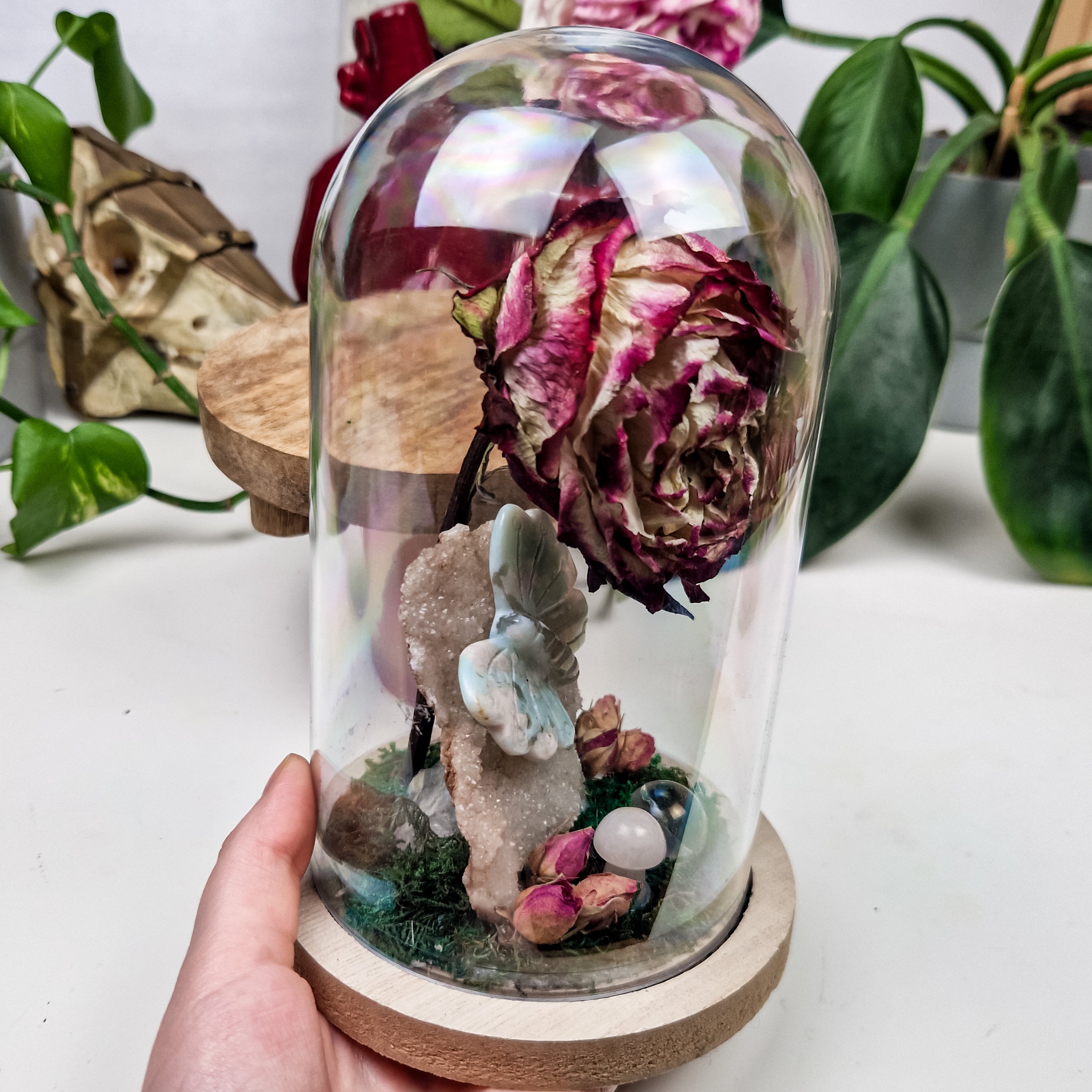 Ritual Dome 'Rose of Devotion'