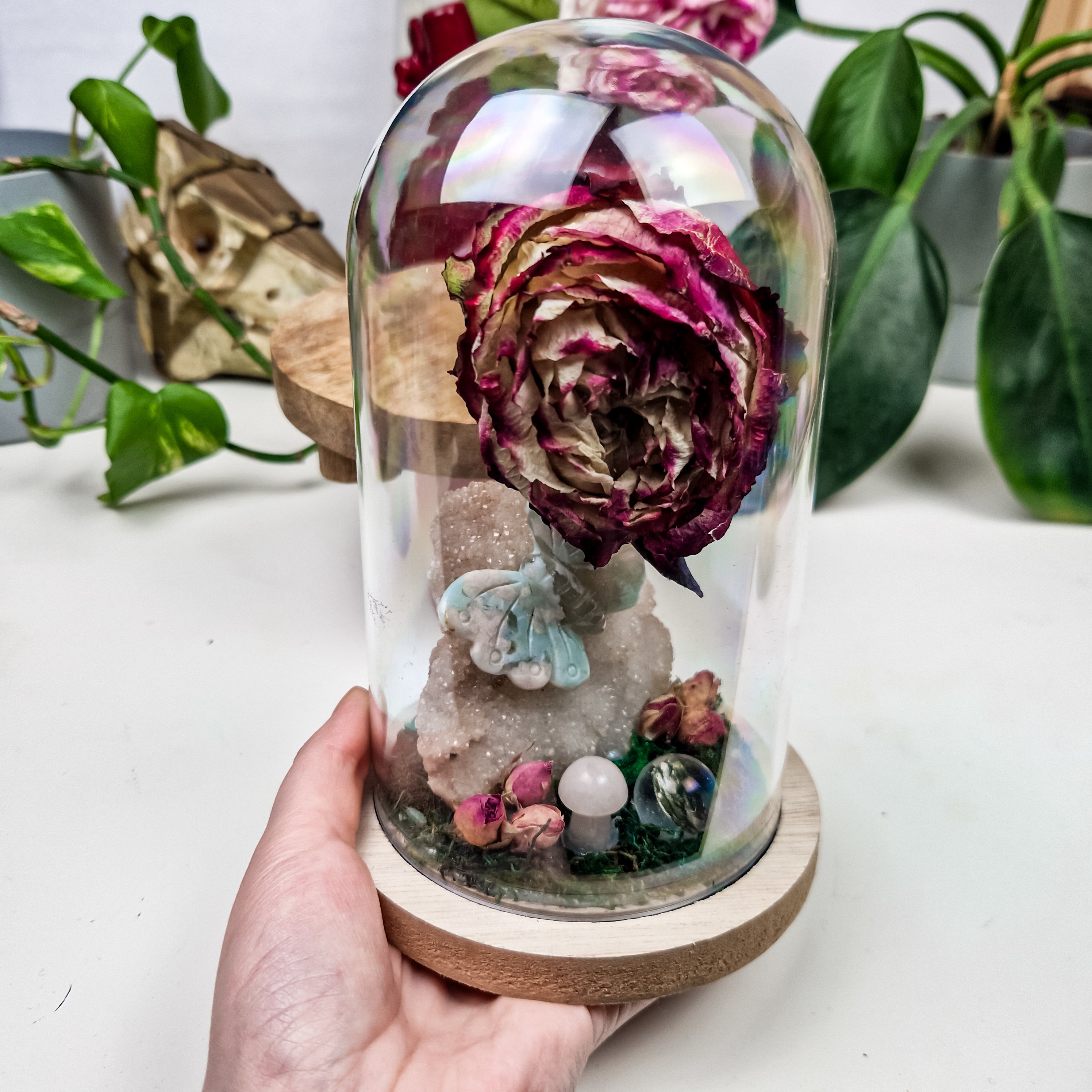 Ritual Dome 'Rose of Devotion'